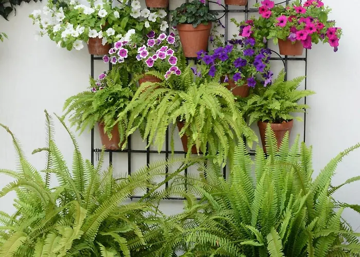 شقة Planta Baja قرطبة