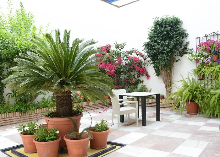 Apartment Planta Baja