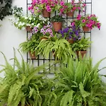 Planta Baja Córdoba