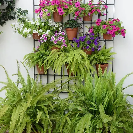 Апартаменты Planta Baja Кордова